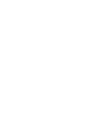 quality_icon